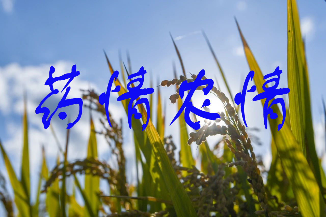 阿维菌素等原药价格上涨，啶酰菌胺等原药价格下跌